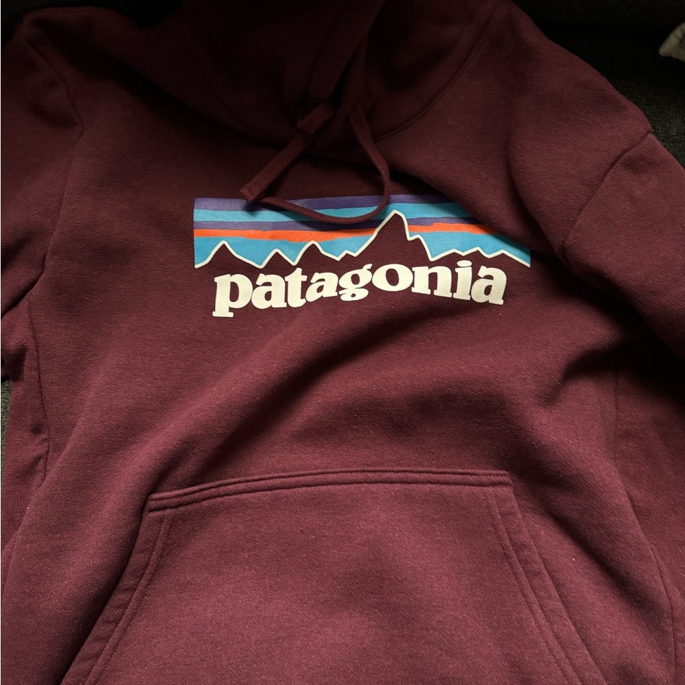 Patagonia maroon hoody